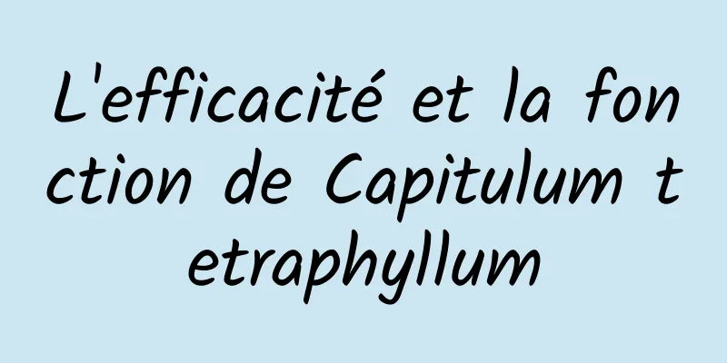 L'efficacité et la fonction de Capitulum tetraphyllum