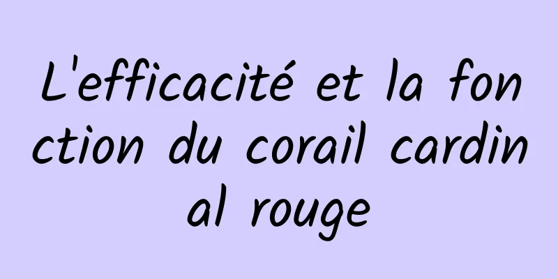 L'efficacité et la fonction du corail cardinal rouge