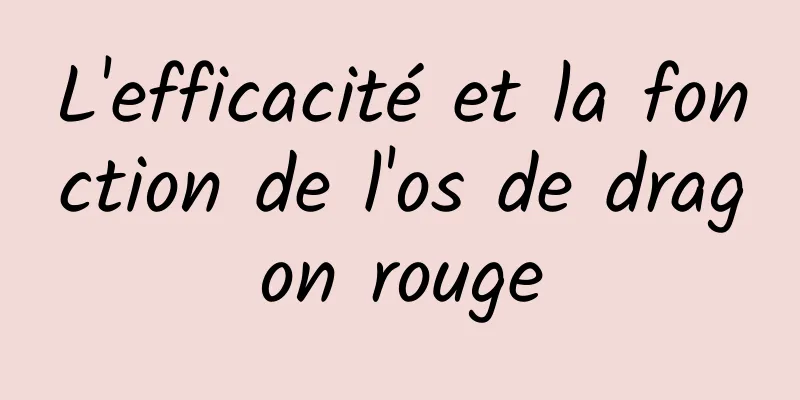 L'efficacité et la fonction de l'os de dragon rouge