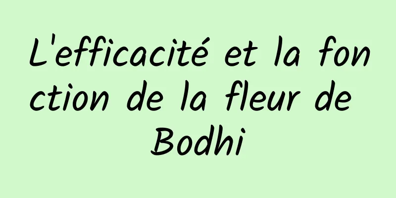 L'efficacité et la fonction de la fleur de Bodhi