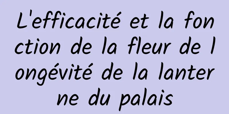 L'efficacité et la fonction de la fleur de longévité de la lanterne du palais