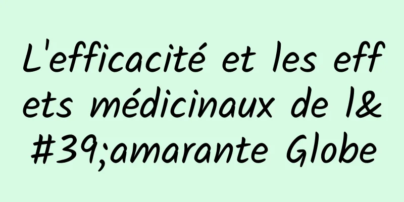 L'efficacité et les effets médicinaux de l'amarante Globe