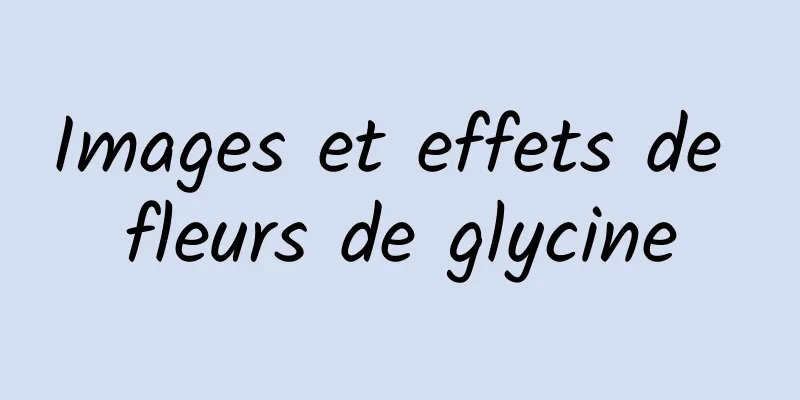 Images et effets de fleurs de glycine