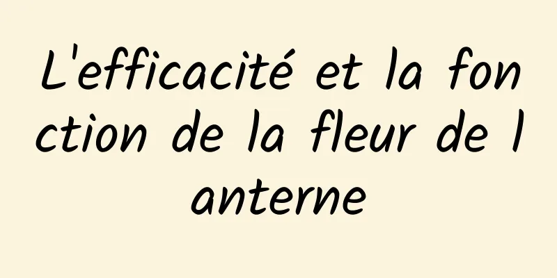 L'efficacité et la fonction de la fleur de lanterne