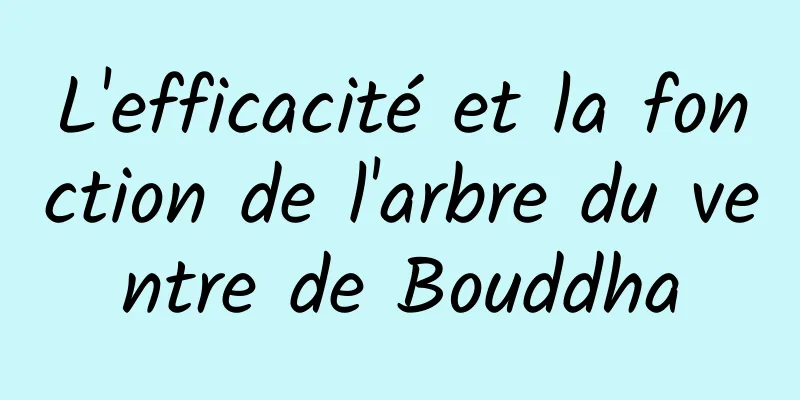 L'efficacité et la fonction de l'arbre du ventre de Bouddha