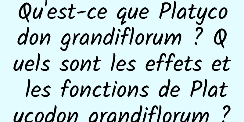 Qu'est-ce que Platycodon grandiflorum ? Quels sont les effets et les fonctions de Platycodon grandiflorum ?