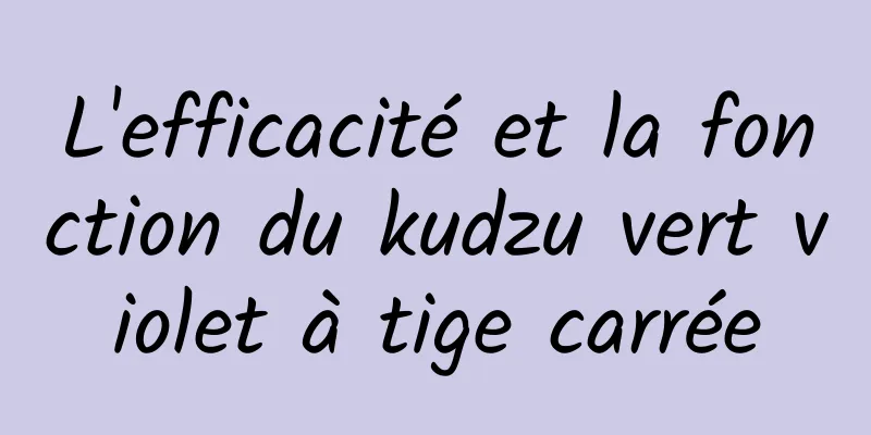 L'efficacité et la fonction du kudzu vert violet à tige carrée