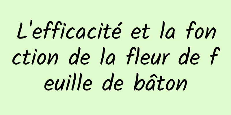 L'efficacité et la fonction de la fleur de feuille de bâton