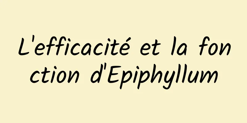 L'efficacité et la fonction d'Epiphyllum