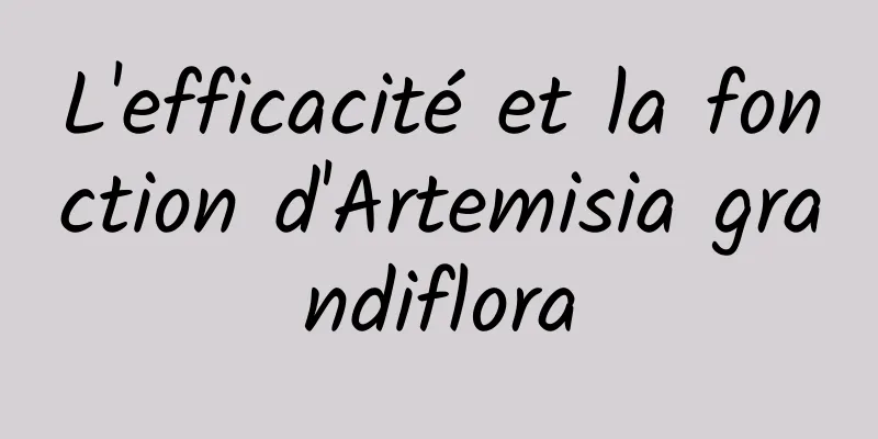 L'efficacité et la fonction d'Artemisia grandiflora