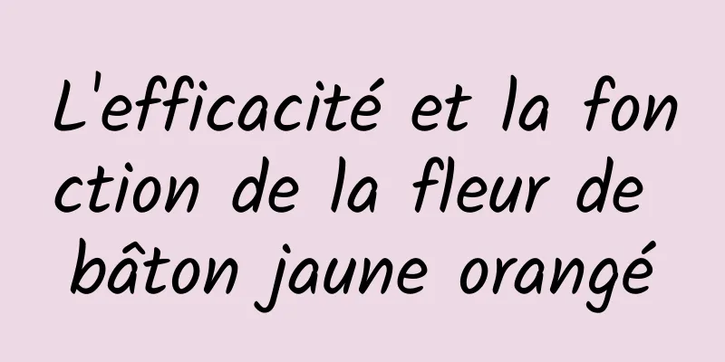 L'efficacité et la fonction de la fleur de bâton jaune orangé