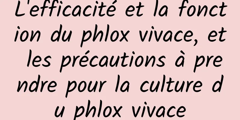 L'efficacité et la fonction du phlox vivace, et les précautions à prendre pour la culture du phlox vivace