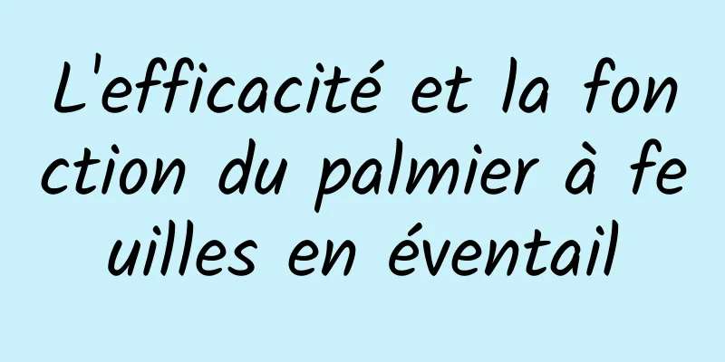 L'efficacité et la fonction du palmier à feuilles en éventail