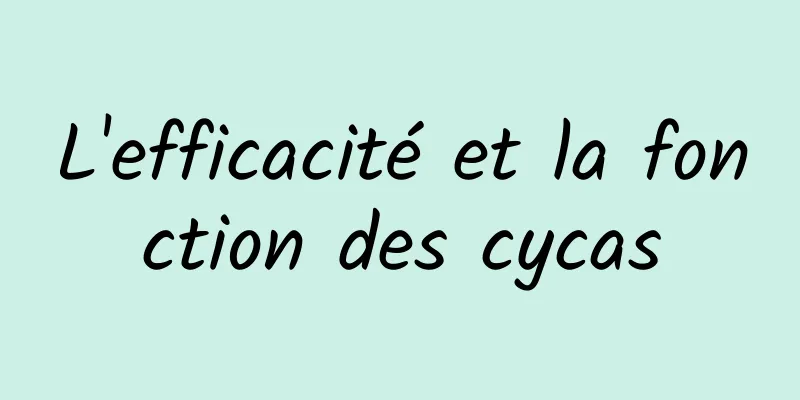 L'efficacité et la fonction des cycas