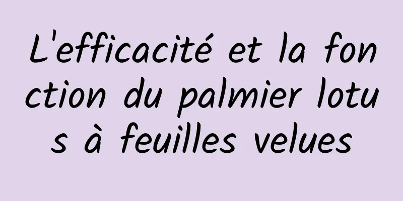 L'efficacité et la fonction du palmier lotus à feuilles velues