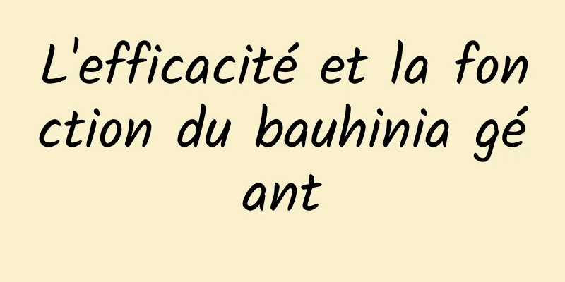 L'efficacité et la fonction du bauhinia géant