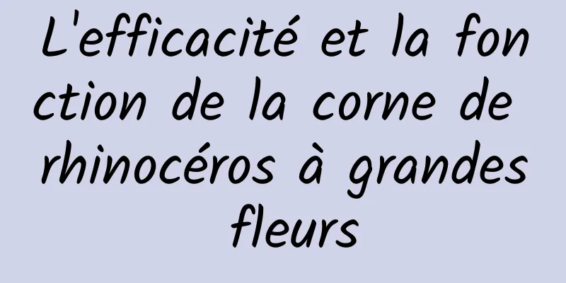 L'efficacité et la fonction de la corne de rhinocéros à grandes fleurs