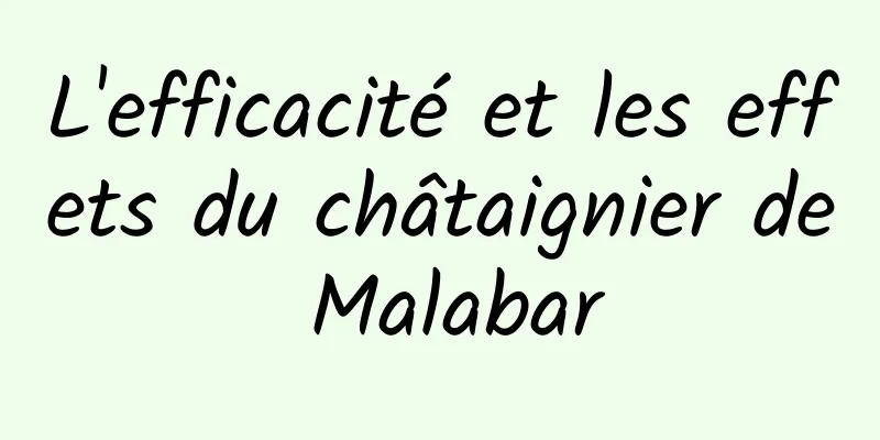 L'efficacité et les effets du châtaignier de Malabar