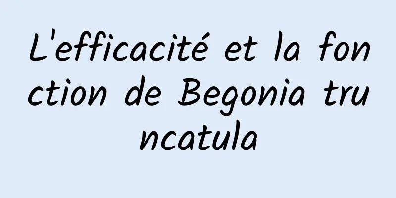 L'efficacité et la fonction de Begonia truncatula