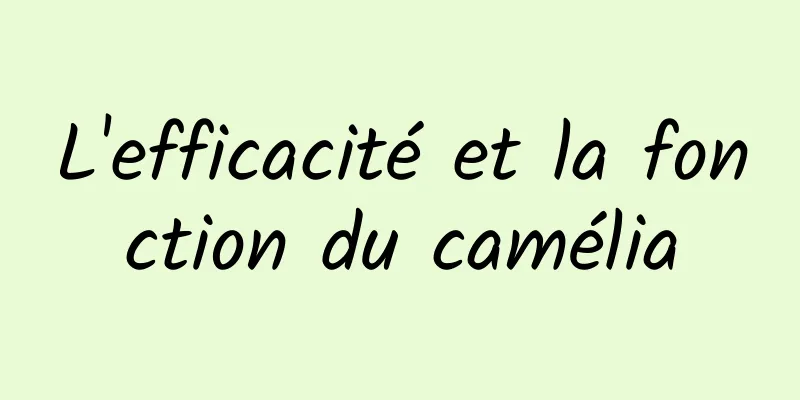 L'efficacité et la fonction du camélia