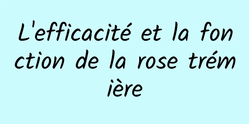 L'efficacité et la fonction de la rose trémière