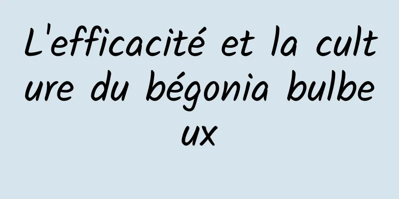 L'efficacité et la culture du bégonia bulbeux