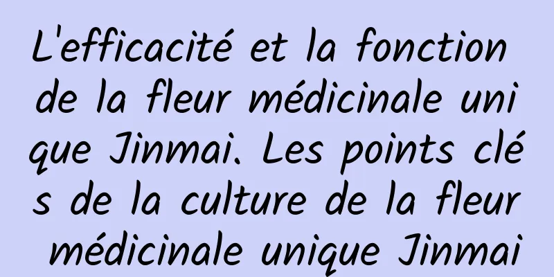 L'efficacité et la fonction de la fleur médicinale unique Jinmai. Les points clés de la culture de la fleur médicinale unique Jinmai