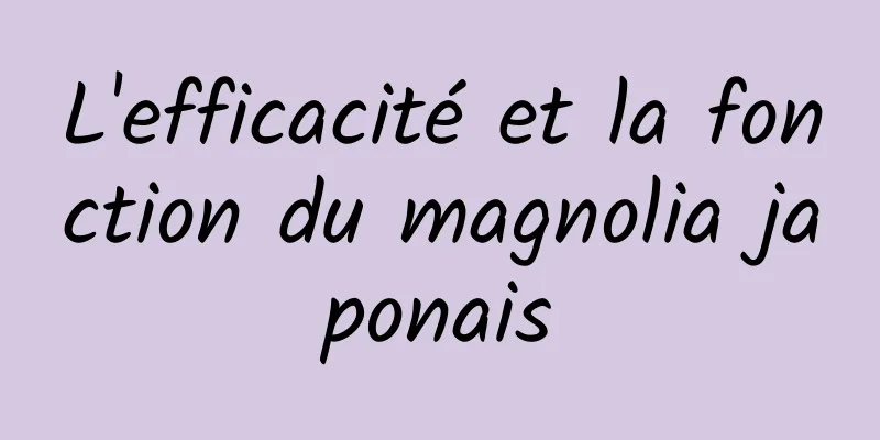 L'efficacité et la fonction du magnolia japonais