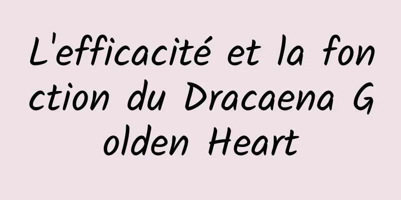 L'efficacité et la fonction du Dracaena Golden Heart