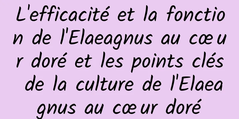 L'efficacité et la fonction de l'Elaeagnus au cœur doré et les points clés de la culture de l'Elaeagnus au cœur doré