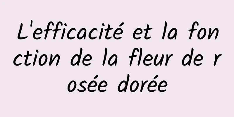 L'efficacité et la fonction de la fleur de rosée dorée