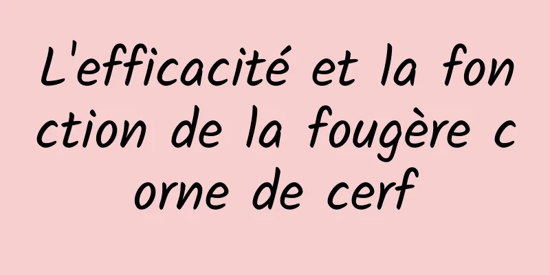 L'efficacité et la fonction de la fougère corne de cerf