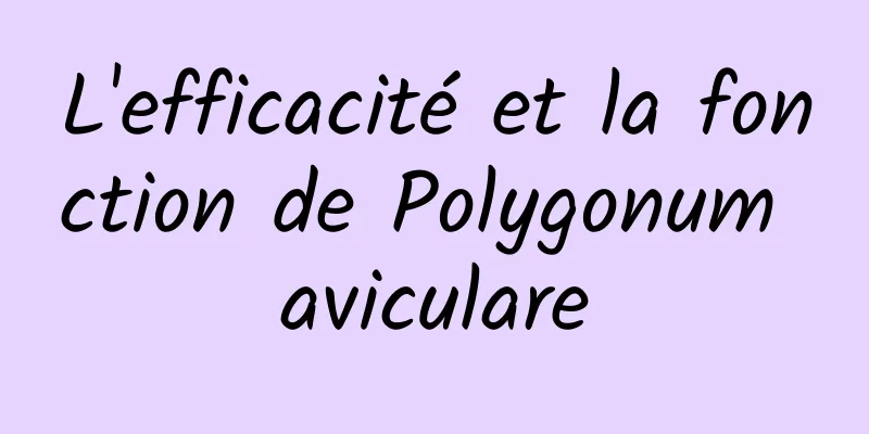 L'efficacité et la fonction de Polygonum aviculare