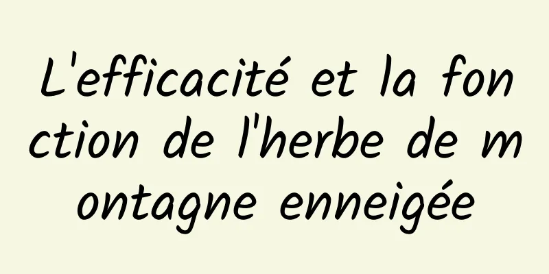 L'efficacité et la fonction de l'herbe de montagne enneigée