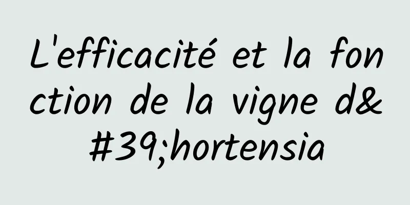 L'efficacité et la fonction de la vigne d'hortensia