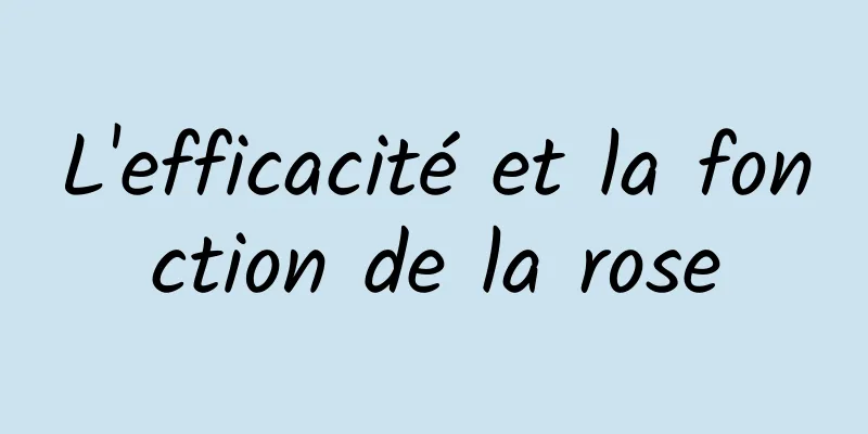 L'efficacité et la fonction de la rose