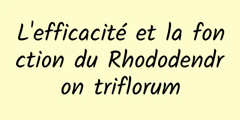 L'efficacité et la fonction du Rhododendron triflorum