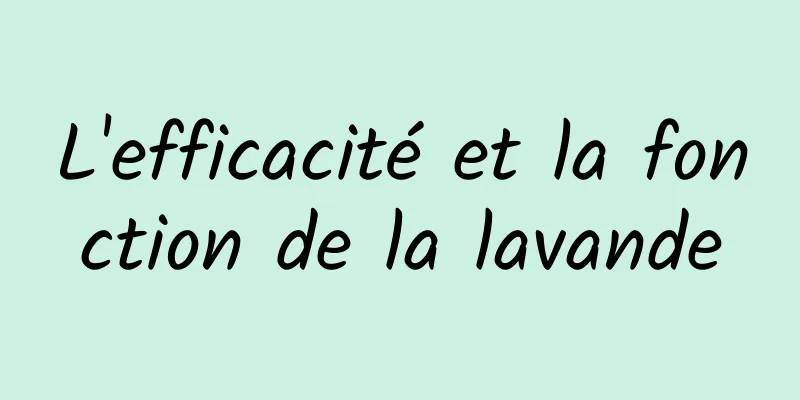 L'efficacité et la fonction de la lavande