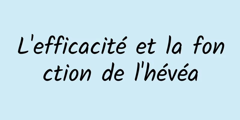 L'efficacité et la fonction de l'hévéa