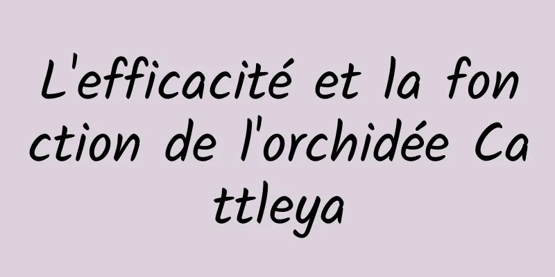 L'efficacité et la fonction de l'orchidée Cattleya