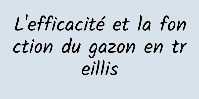 L'efficacité et la fonction du gazon en treillis