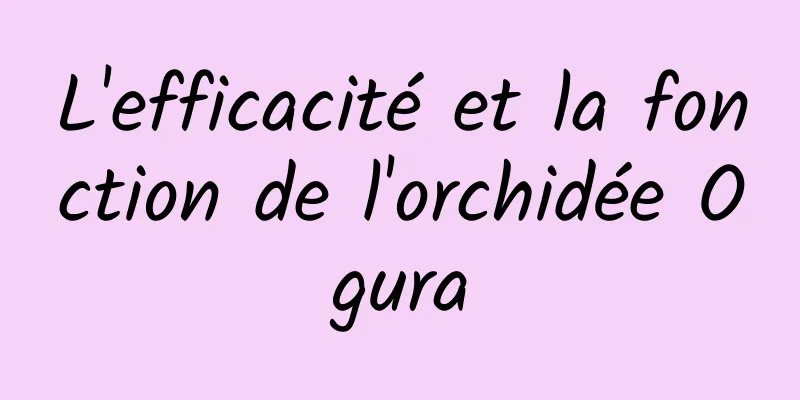 L'efficacité et la fonction de l'orchidée Ogura