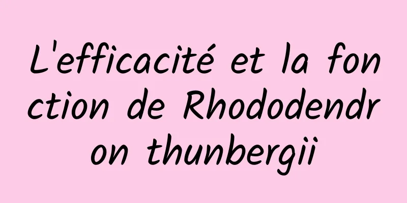 L'efficacité et la fonction de Rhododendron thunbergii