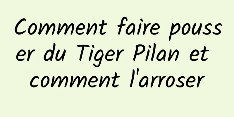 Comment faire pousser du Tiger Pilan et comment l'arroser