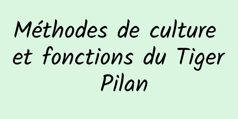 Méthodes de culture et fonctions du Tiger Pilan