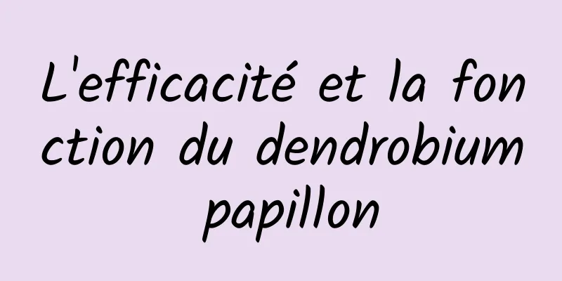 L'efficacité et la fonction du dendrobium papillon