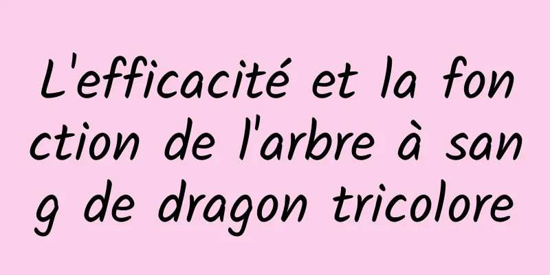 L'efficacité et la fonction de l'arbre à sang de dragon tricolore