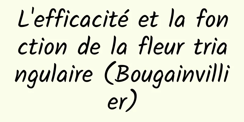 L'efficacité et la fonction de la fleur triangulaire (Bougainvillier)