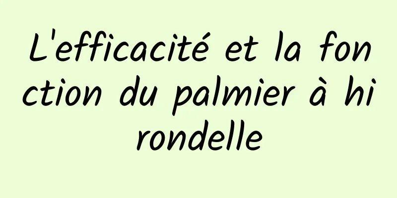 L'efficacité et la fonction du palmier à hirondelle