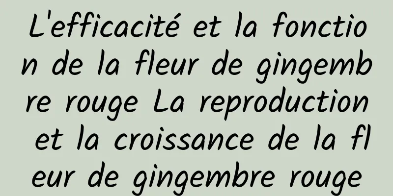 L'efficacité et la fonction de la fleur de gingembre rouge La reproduction et la croissance de la fleur de gingembre rouge